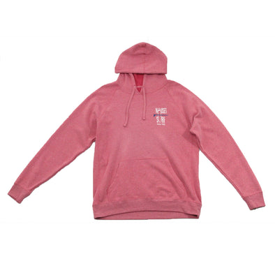 Classic Logo Unisex Special Blend Raglan Hooded Sweatshirt - Nauset Surf Shop