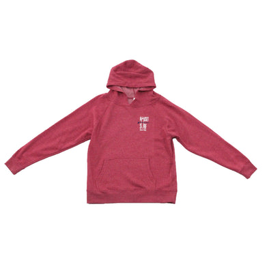 Classic Logo Youth Special Blend Raglan Hooded Sweatshirt - Nauset Surf Shop